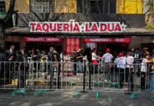 Dua Lipa’s pop-up taco stand causes chaos and excitement in the streets of Mexico City