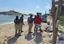A foreign tourist was rescued on the beaches of Tulum after being swept away by the waves.