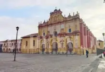 Marinated pork loin and tuna Vizcaya style, gastronomic must-tries in San Cristóbal