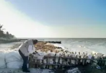 Profepa closes five breakwaters on the Yucatán coast due to lack of permits