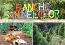 Rancho San Melchor: Experience Christmas in Oaxaca amidst forest, cabins, and trout