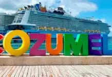 QRoo is looking for Mexicans to work on ships at Seatrade in Miami