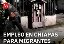Chiapas offers 150 job openings for migrants and repatriates in a special employment event