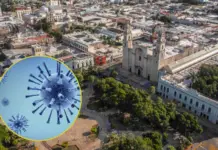 Yucatán ranks first nationally in seasonal influenza cases