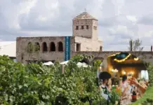 There will be a New Year’s Eve party at the Tierra de Alonso vineyard