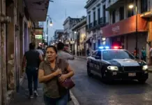 Domestic violence and theft are the most frequently committed crimes in Tabasco; governor points to the past