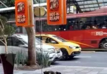 In Mexico City 🇲🇽, a little dog waits outside a pizzeria every day.