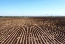 The countryside that sustains Sinaloa and to which the government turns its back