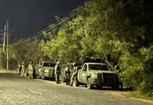 Blow to organized crime in Nayarit