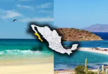 These are the 2 beaches in Baja California Sur with no sargassum and crystal-clear waters that are ideal to visit in December