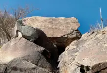 Anthropological findings identify solar calendar in the Sonoran Desert