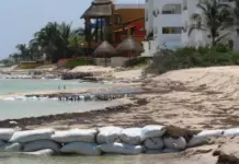 Erosion along the entire Yucatan coast, a serious problem