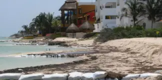 Erosion along the entire Yucatan coast, a serious problem