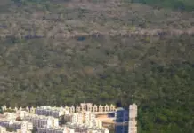 GREENPEACE RECOMMENDS NOT BUYING LAND IN YUCATÁN