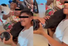 Men drag a bull into a bar to get it drunk as part of a “tradition” in Yucatán