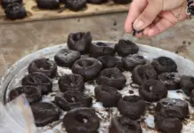 Drones and helicopters drop 15 million seeds in forests of Hidalgo