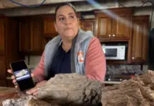 Ancient dinosaur graveyard discovered in southern Chihuahua