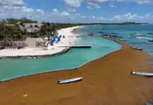 Zofemat is making progress in the installation and expansion of the sargassum barrier in Playa del Carmen.