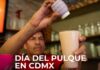 Pulque Day declared in Mexico City