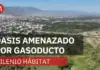 Gas pipeline threatens the Mascarita Peninsular in Baja California Sur