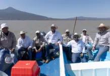 Michoacán seeks to sow life with 200,000 native fish in Lake Pátzcuaro
