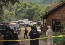 Authorities are investigating the deaths of four architects in a cabin in Jalisco; here’s what we know