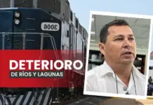 Reactivation of trains in Chiapas and the environmental risks generated