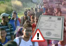 Birth certificates with CURP and official folio are being sold to migrants in Chiapas.