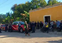 Body of man found in port of Celestún, Yucatán; cause of death under investigation