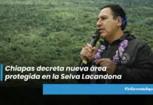 Chiapas expands its conservation map with a new reserve in the Lacandon Jungle