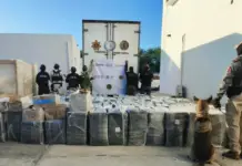 Security in Yucatán: the strongest blows against drug dealing in the last year