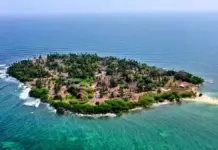 Tortuguilla Island: Puerto Escondido’s coral treasure comes to light