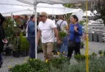 San Miguel de Allende ready for the Candelaria Fair