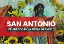 Festival of Saint Anthony Abbot in the heart of Chiapas