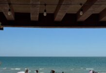 Despite price criticism, restaurants in Las Gatas maintain influx