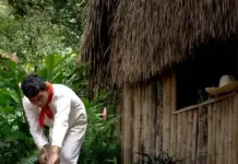 A tour of this cocoa plantation in Tabasco tastes of pure chocolate