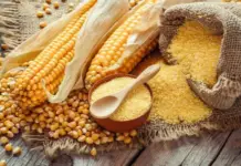 A father and son from Nuevo León started a small corn flour business and transformed it into a powerful Mexican empire.