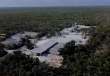 They see negative implications for Mexico in the review of the USMCA due to the Calica case