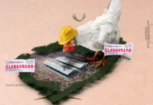 Bachoco: the silent expansion that is destroying the jungle in Yucatán