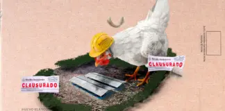 Bachoco: the silent expansion that is destroying the jungle in Yucatán