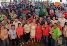 Sheinbaum announces a boost to hibiscus production in Guerrero to strengthen rural incomes