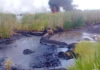 Tabasco, second place nationally in hydrocarbon spills: ASEA