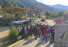 In Tlacotepec, authorities blocked an army convoy that was going to destroy poppies.