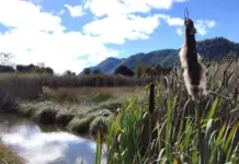 100 tons of waste removed from wetlands in San Cristóbal