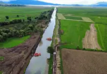 500 hectares of Lake Pátzcuaro in Michoacán have been recovered