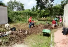 New call to owners of vacant lots in Mérida