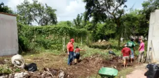 New call to owners of vacant lots in Mérida