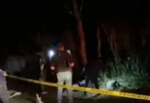 Love Parade leaves two dead and a fistfight breaks out in Macuspana