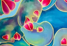 Visit Somniloquia, the new group exhibition at Pali Galería in Mexico City; it’s FREE.