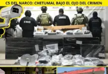 THE NARCO “C5” THAT RIDICULED THE GOVERNMENT OF YENSUNNI AND MARA